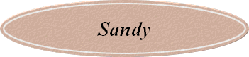 Sandy