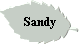 Sandy